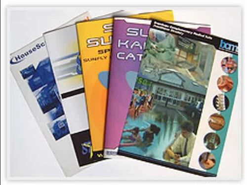8.5" x 11" Catalog 12 page 100lb Gloss Paper - Full Color 2 Sides With AQ